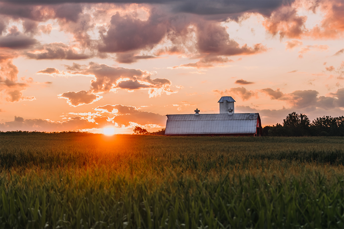 Rural farmland with a barn at sunset